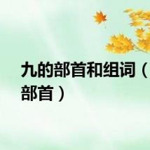 九的部首和组词（九的部首）