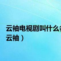 云袖电视剧叫什么名字（云袖）