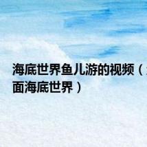 海底世界鱼儿游的视频(鱼鱼桌面海底世界)