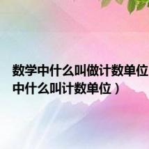 数学中什么叫做计数单位(数学中什么叫计数单位)