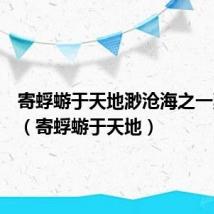 寄蜉蝣于天地渺沧海之一粟修辞（寄蜉蝣于天地）