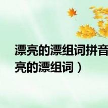 漂亮的漂组词拼音（漂亮的漂组词）