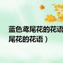 蓝色鸢尾花的花语（鸢尾花的花语）