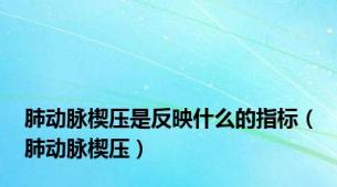 肺动脉楔压是反映什么的指标（肺动脉楔压）