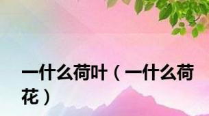 一什么荷叶（一什么荷花）