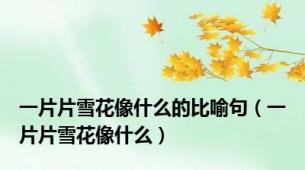 一片片雪花像什么的比喻句（一片片雪花像什么）