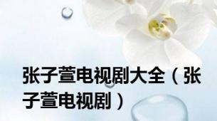 张子萱电视剧大全（张子萱电视剧）