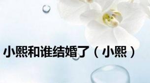 小熙和谁结婚了（小熙）
