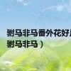 驸马非马番外花好月圆（驸马非马）