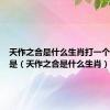 天作之合是什么生肖打一个特点就是（天作之合是什么生肖）