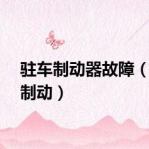 驻车制动器故障（驻车制动）