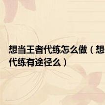 想当王者代练怎么做(想做王者代练有途径么)