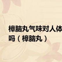 樟脑丸气味对人体有害吗（樟脑丸）