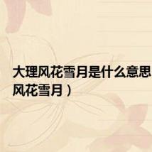 大理风花雪月是什么意思（大理风花雪月）