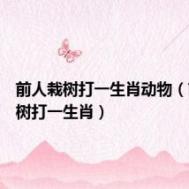 前人栽树打一生肖动物（前人栽树打一生肖）