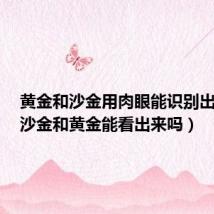 黄金和沙金用肉眼能识别出来吗(沙金和黄金能看出来吗)