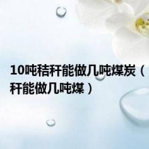 10吨秸秆能做几吨煤炭（10吨秸秆能做几吨煤）