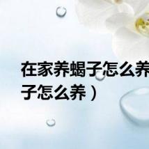 在家养蝎子怎么养（蝎子怎么养）