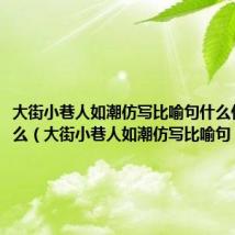 大街小巷人如潮仿写比喻句什么什么如什么（大街小巷人如潮仿写比喻句）
