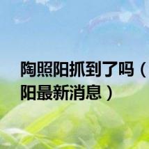 陶照阳抓到了吗（陶照阳最新消息）