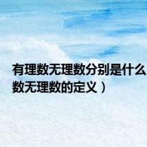 有理数无理数分别是什么（有理数无理数的定义）