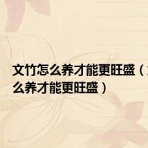 文竹怎么养才能更旺盛（龙竹怎么养才能更旺盛）