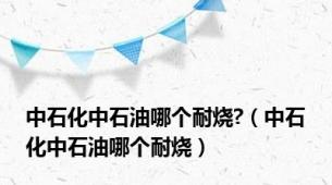 中石化中石油哪个耐烧?（中石化中石油哪个耐烧）