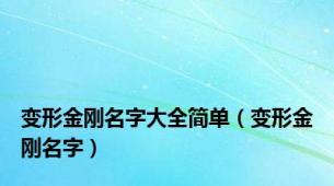 变形金刚名字大全简单（变形金刚名字）