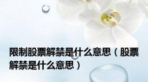 限制股票解禁是什么意思（股票解禁是什么意思）