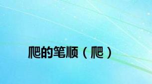 爬的笔顺（爬）