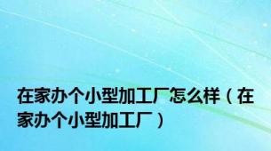 在家办个小型加工厂怎么样（在家办个小型加工厂）