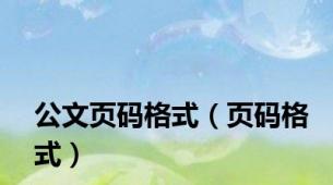 公文页码格式（页码格式）