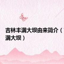 吉林丰满大坝由来简介(吉林丰满大坝)