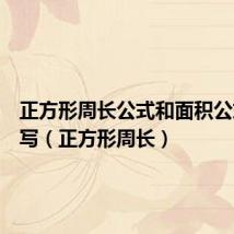 正方形周长公式和面积公式怎么写(正方形周长)
