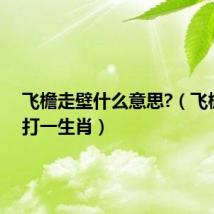 飞檐走壁什么意思?(飞檐走壁打一生肖)