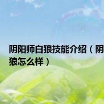 阴阳师白狼技能介绍(阴阳师白狼怎么样)