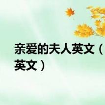 亲爱的夫人英文（夫人英文）