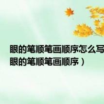 眼的笔顺笔画顺序怎么写的呀(眼的笔顺笔画顺序)