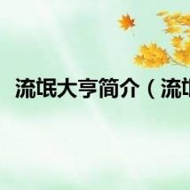流氓大亨简介（流氓）