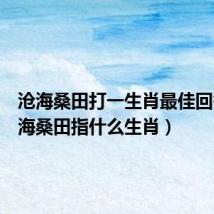 沧海桑田打一生肖最佳回答（沧海桑田指什么生肖）