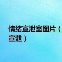 情绪宣泄室图片（情绪宣泄）