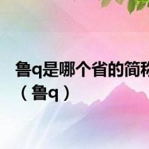 鲁q是哪个省的简称车牌（鲁q）