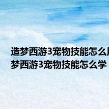 造梦西游3宠物技能怎么用(造梦西游3宠物技能怎么学)