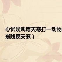 心忧炭贱愿天寒打一动物(心忧炭贱愿天寒)