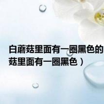白蘑菇里面有一圈黑色的(白蘑菇里面有一圈黑色)