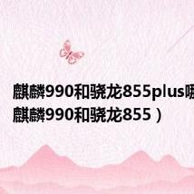 麒麟990和骁龙855plus哪个好(麒麟990和骁龙855)