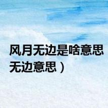 风月无边是啥意思（风月无边意思）