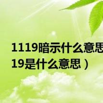 1119暗示什么意思(1119是什么意思)