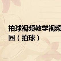 拍球视频教学视频幼儿园（拍球）