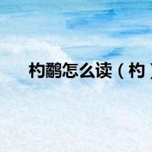 杓鹬怎么读（杓）